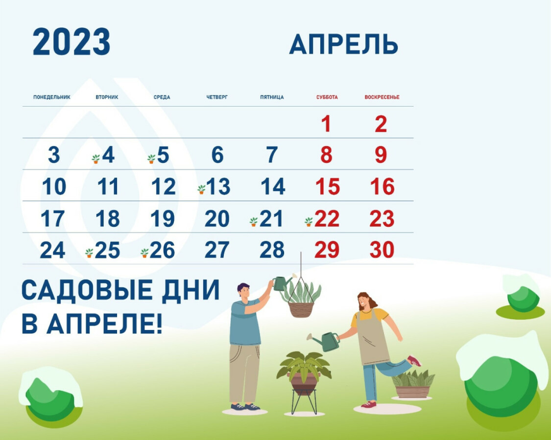 Календарь садовода на апрель 2023: жителям Ленобласти рассказали об удачных  садовых днях