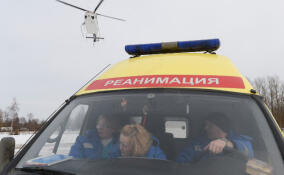Медики скорой помощи более 11 тысяч раз выезжали к жителям Ленобласти с 27 марта