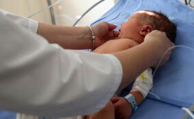 Петербургские врачи спасают и выхаживают недоношенных детей