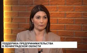 Ксения Петрова рассказала о поддержке предпринимателей в районах Ленобласти