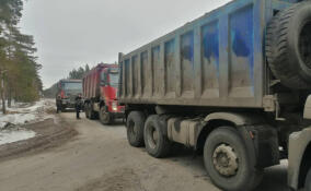 Свыше 10 мусоровозов проверили во время рейда в Ломоносовском районе