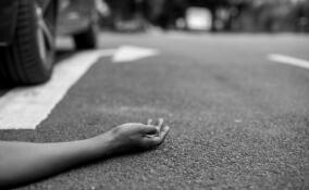 В Гатчинском районе водитель автобуса насмерть сбил мужчину