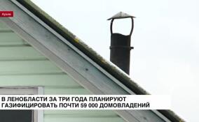 В Ленобласти за три года планируют газифицировать почти 59 тысяч домовладений
