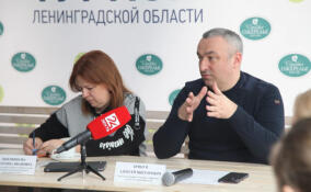 Алексей Брицун предложил снизить транспортный налог на маломерные суда