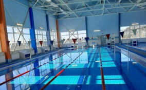 Новый спортивно-оздоровительный комплекс с бассейном в Плодовом ввели в эксплуатацию