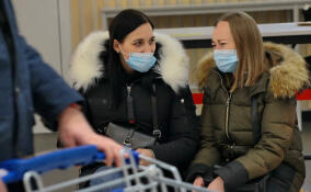 Коронавирусом в Ленобласти заразились 79 человек за сутки