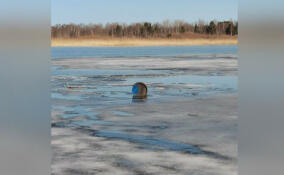 В водах Ладожского озера нашли подозрительные двухсотлитровые бочки