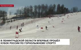 В Ленобласти впервые прошел Кубок России по горнолыжному спорту