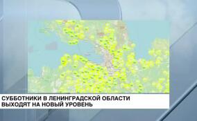 Субботники в Ленинградской области выходят на новый уровень