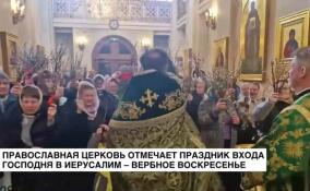 Православная церковь отмечает праздник входа Христа в Иерусалим — Вербное воскресенье