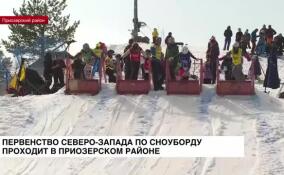 Первенство Северо-Запада по сноуборду проходит в Приозерском районе