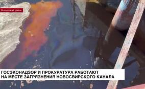 Госэконадзор и прокуратура работают на месте загрязнения Новосвирского канала
