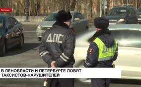 В Ленобласти и Петербурге ловят таксистов-нарушителей