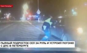 В Петербурге подросток сел за руль и вынудил полицейских применить табельное оружие