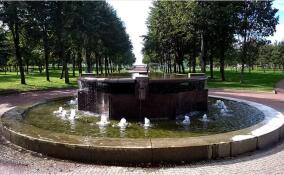 В Петербурге злоумышленники украли свыше 30 решеток с фонтана в парке 300-летия