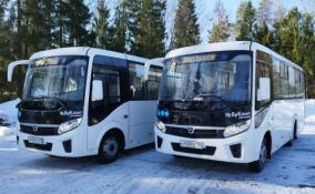 На 11-ти маршрутах Ленобласти запустили новые низкопольные и газомоторные автобусы