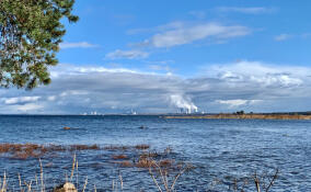 Энергоблок №4 Ленинградской АЭС вывели на полную мощность после ремонта