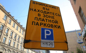 Глава Василеостровского района рассказал о введении платных парковок