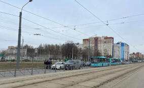 Из-за ДТП в Невском районе Петербурга остановились автомобили и общественный транспорт