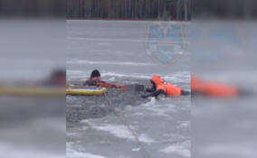 В озере у деревни Кемск утонул человек - тело из воды доставали спасатели