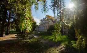 В шести населенных пунктах Ленобласти отреставрируют объекты культурного наследия в 2023 году