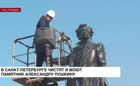 В Санкт-Петербурге чистят и моют памятник Александру Пушкину