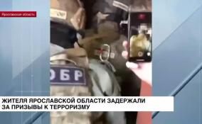 Жителя Ярославской области задержали за призывы к терроризму