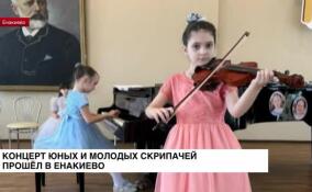 Концерт юных и молодых скрипачей прошел в Енакиево