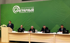 В Пушкине проходит итоговая коллегия комитета по АПК Ленобласти