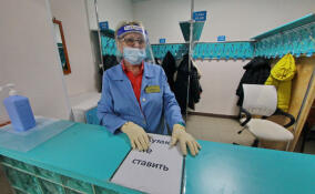 В Ленобласти выявили 29 новых случаев заражения коронавирусом