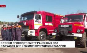 В Тосно проходит смотр районных сил и средств для тушения природных пожаров