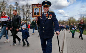 В Сербии пройдет шествие «Бессмертного полка»