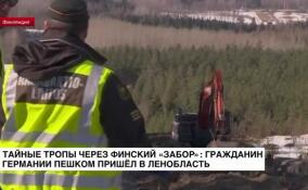 Тайные тропы через финский «забор»: гражданин Германии пешком пришел в Ленобласть