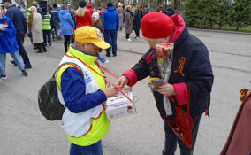 В Ленобласти стартует всероссийская акция помощи ветеранам "Красная гвоздика" 20 апреля
