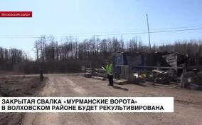 Закрытая свалка «Мурманские ворота» в Волховском районе будет рекультивирована