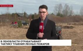 В Волховском районе отрабатывают тактику тушения лесных пожаров