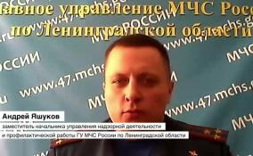 МЧС России не рекомендует делать шашлыки