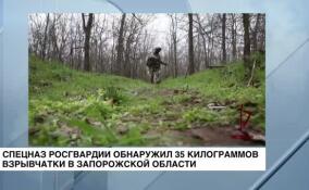 Более 35 килограммов взрывчатки обнаружил спецназ Росгвардии на территории Запорожской области