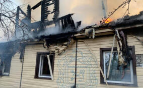 Сотрудники Леноблпожспаса вызволили из горящего дома женщину с собакой в Лужском районе