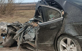 В Гатчинском районе 19-летний водитель "БМВ" лоб в лоб столкнулся с ГАЗелью и погиб