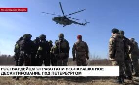 Росгвардейцы отработали беспарашютное десантирование