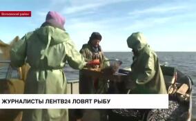 Журналисты ЛенТВ24 ловят рыбу