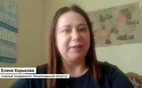 Елена Хорькова рассказала, дошел ли коронавирус «Арктур» до 47-го региона