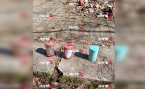 На территории частного дома в поселке Рощино нашли колбы с надписью "Радиоактивный кобальт-60"