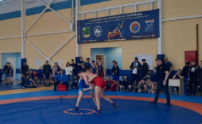 Борцы из Енакиево приняли участие в турнире по вольной борьбе в Кингисеппском районе