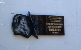 В Вырице увековечили память героя Советского союза лётчика Георгия Коваленко