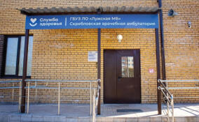 В поселке Скреблово открылась новая амбулатория и дневной стационар