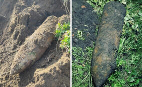 Авиационную бомбу времен Великой Отечественной обнаружили в Ленобласти