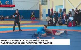 Финал турнира по вольной борьбе памяти Михаила Седюка прошел в Кингисеппском районе