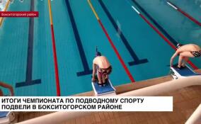 В Пикалево подвели итоги чемпионата Ленинградской области по подводному плаванию